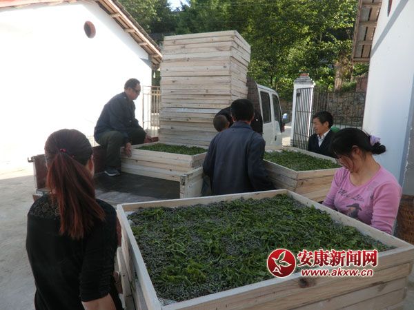 CIMG7410_看圖王.jpg