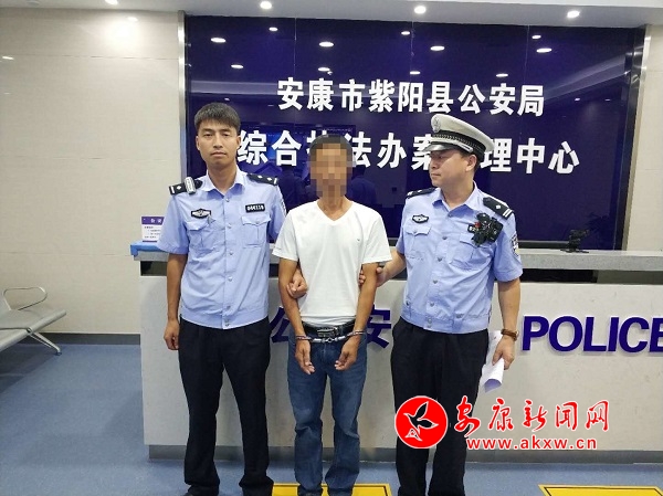 紫陽1.jpg
