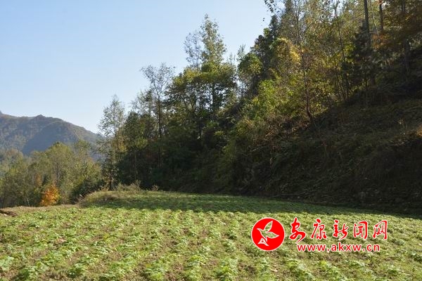 調(diào)整大小 DSC_7051.JPG