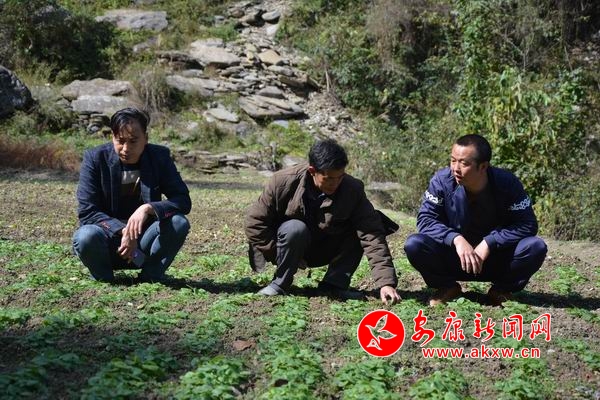 調(diào)整大小 DSC_7076.JPG