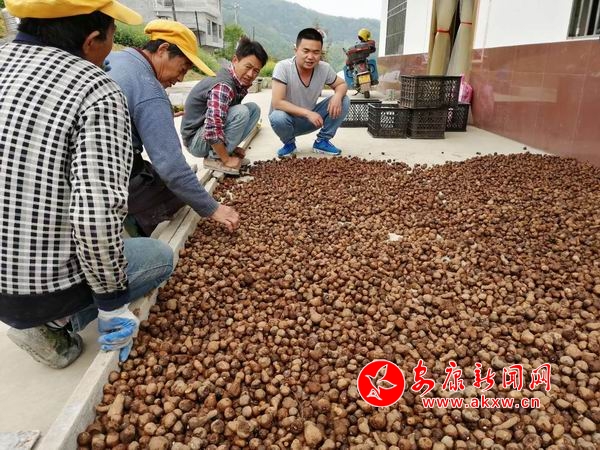 調(diào)整大小 微信圖片_20190417105249.jpg