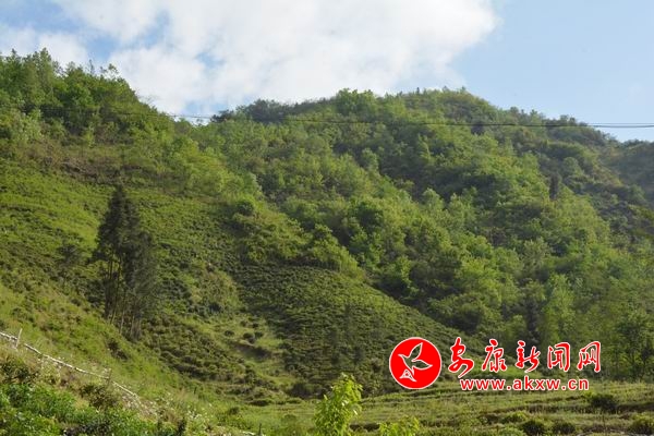 調(diào)整大小 DSC_9602.JPG