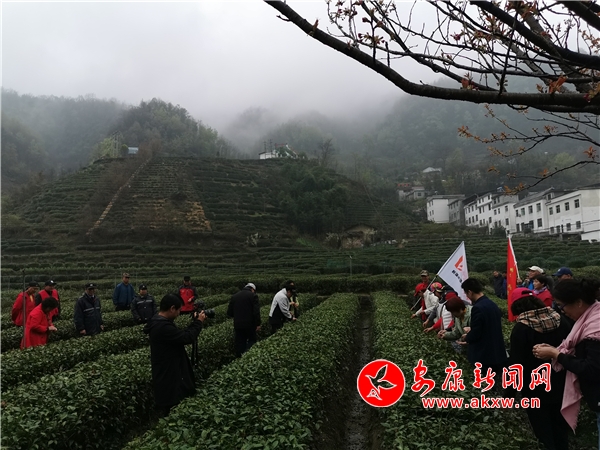 微信圖片_20210317103611.jpg