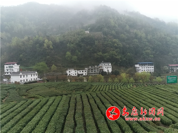 微信圖片_20210317103605.jpg